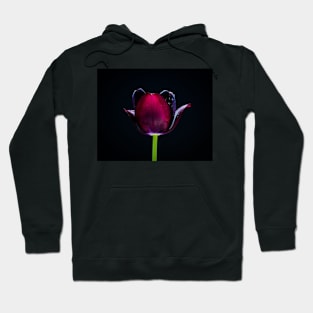 GardenTulip 8 Hoodie